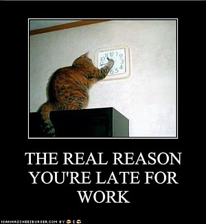 real_reason